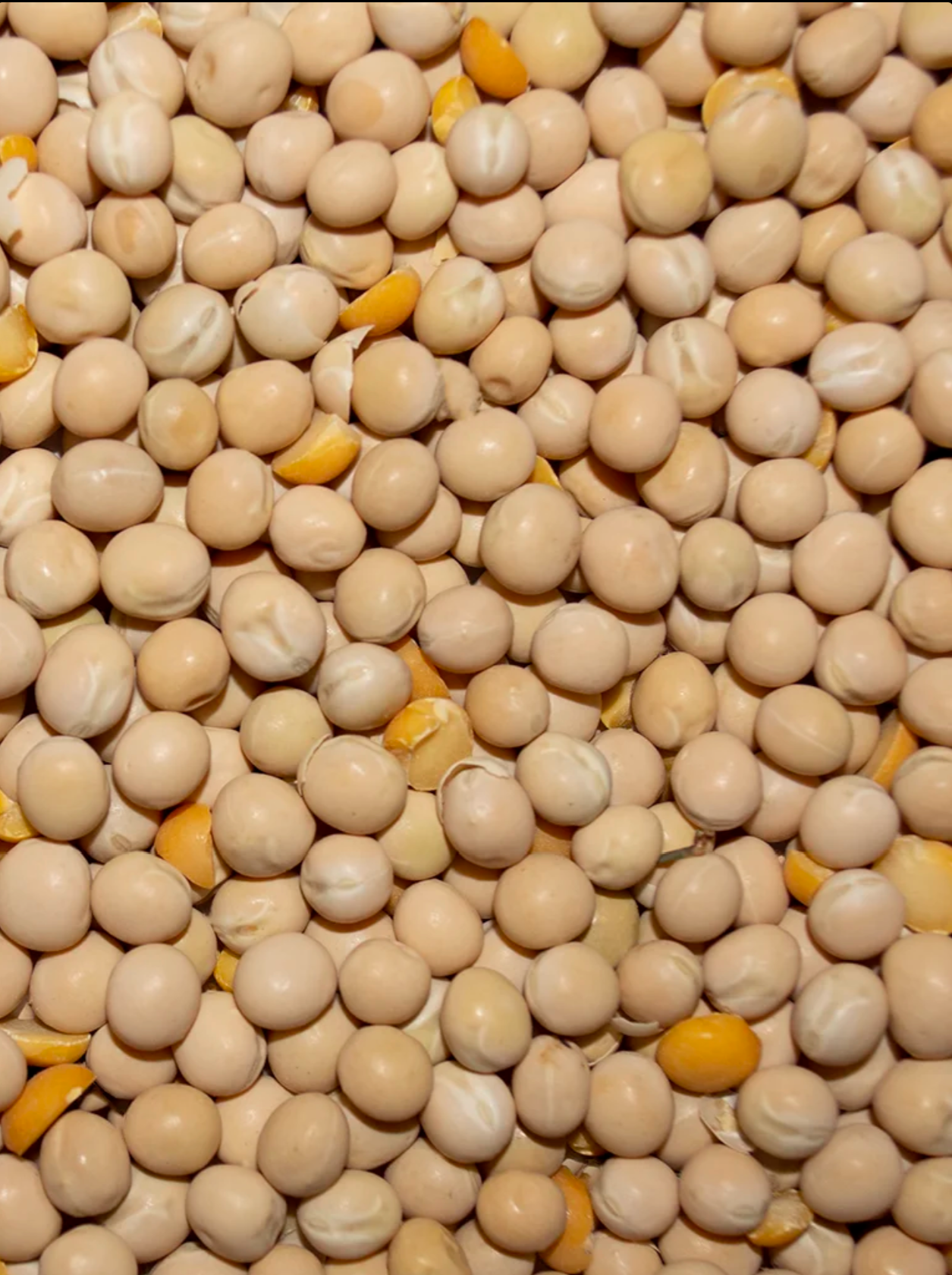 Yellow Peas 50lb image 0