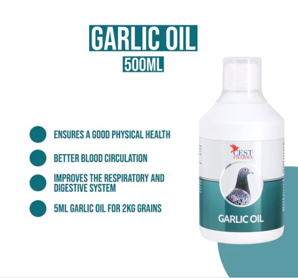 GARLIC OIL 500ML image 1
