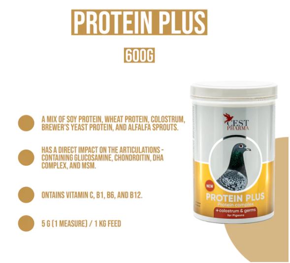 PROTEIN PLUS 600G - Concentrated Protein for Pigeons image 1