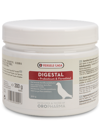 Digestal (Versele Laga) Intestinal Conditioner for Racing Pigeons image 0