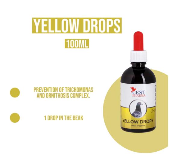 YELLOW DROPS 100ML - Eliminates Fungi, Canker, & Bacteria image 1