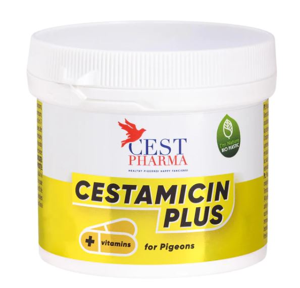 CESTAMICIN PLUS 100G image 0