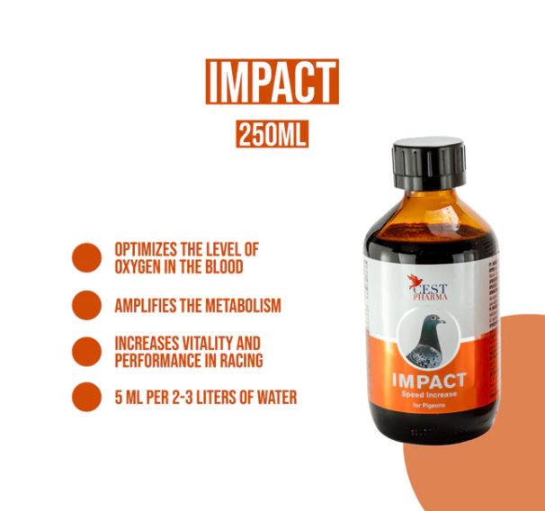 IMPACT 250ML - High Energy Tonic for Pigeon Racing & Breeding image 1