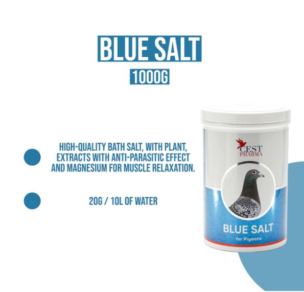 BLUE SALT 1000G image 1