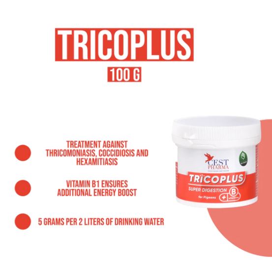 TRICOPLUS 100G - For Canker, Coccidia, & Hexamitiasis in Pigeons image 1