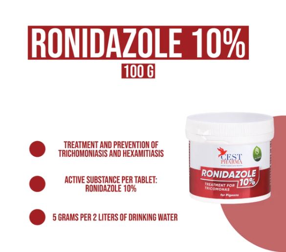 RONIDAZOLE 10% 100G - Canker Treatment for Pigeons image 1