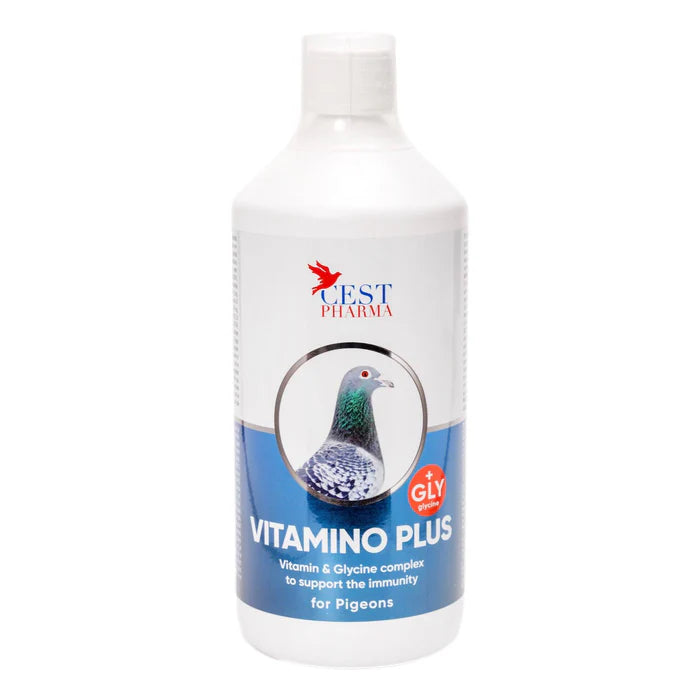 Vit Amino Plus - Vitamins & Amino Acids for Pigeons