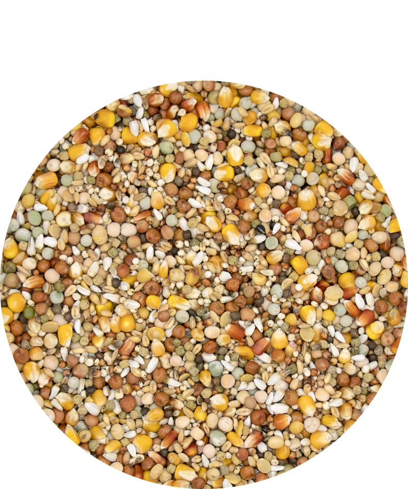 VERSELE-LAGA START I.C. PLUS BREEDING MIX image 1