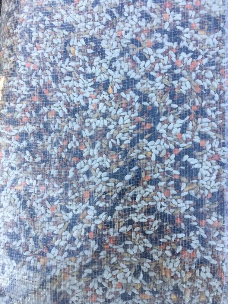 Flying D High Octane - 50 lbs image 0