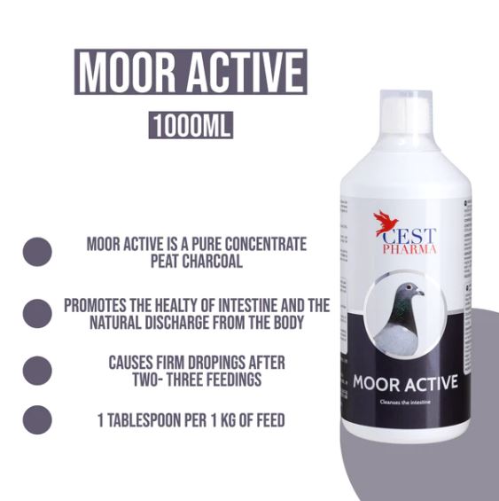 MOOR ACTIVE 1000ML - Liquid Charcoal for Birds - 1L image 1