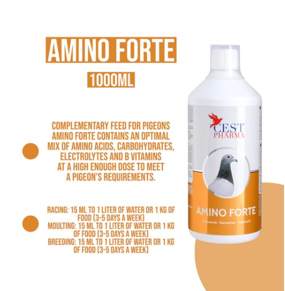 AMINO FORTE 1000ML image 1