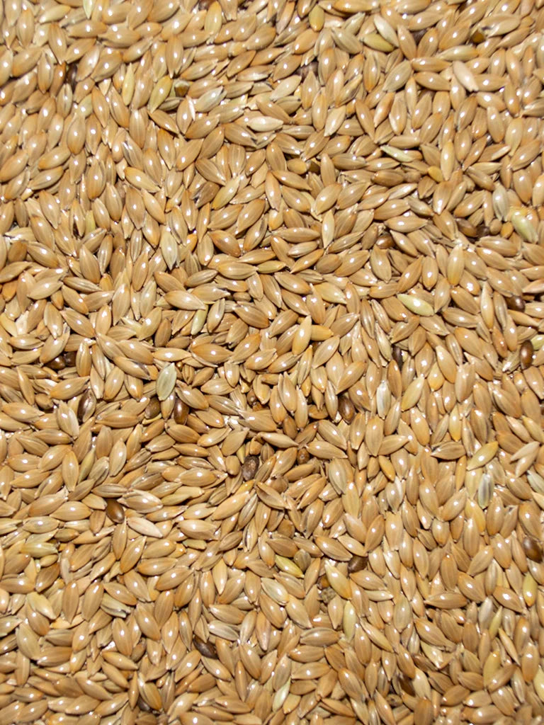 Canary Seed - 50lb
