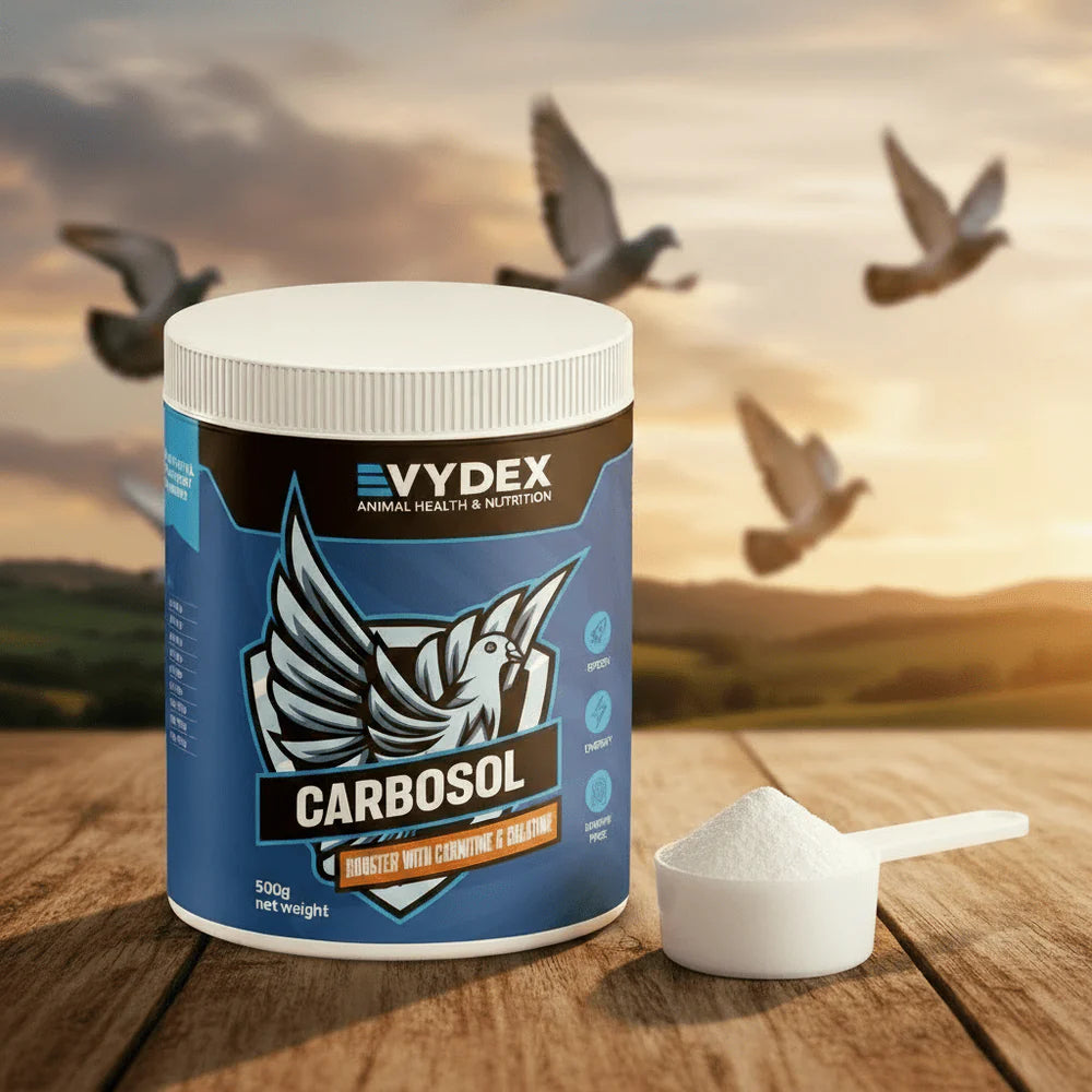Carbosol - for Energy, Endurance & Recovery