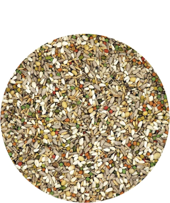 VERSELE-LAGA ENERGY I.C. PLUS image 1